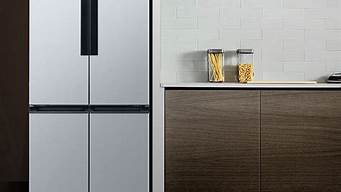 西门子冰箱最新款型号和价格_西门子冰箱最新款型号和价格冷冻容量大的