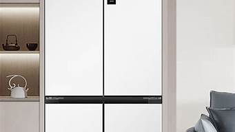十大品牌冰箱有哪些_十大品牌冰箱有哪些品牌